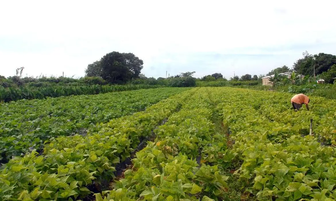 CMN prorroga parcelas de crédito rural a afetados por seca no Nordeste