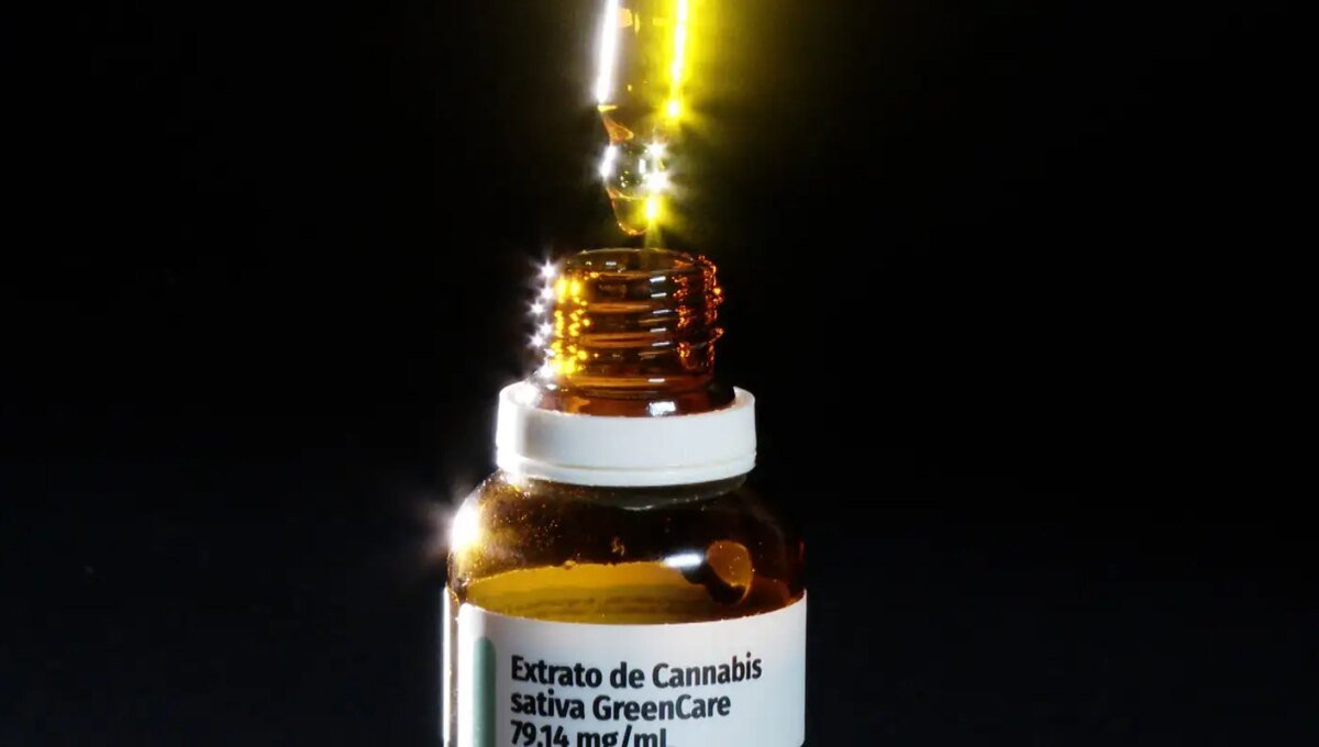 Autorizações para importação de cannabis aumentam 29% em 2026