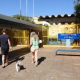 Campanha de vacinação antirrábica movimenta o Distrito Federal