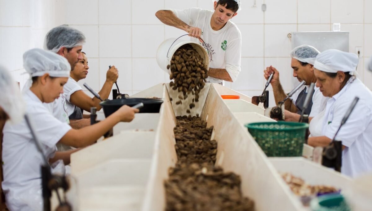 Consulta sobre bens sustentáveis no acordo Mercosul–UE acaba na quarta