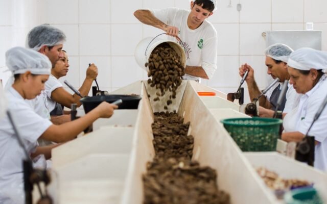 Consulta sobre bens sustentáveis no acordo Mercosul–UE acaba na quarta