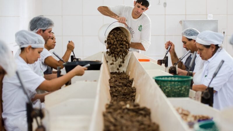 Consulta sobre bens sustentáveis no acordo Mercosul–UE acaba na quarta