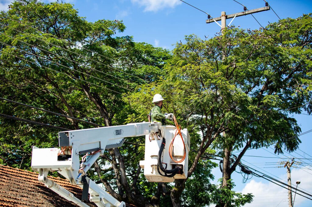 Endereços no Lago Norte terão o fornecimento de energia suspenso nesta segunda-feira (17)