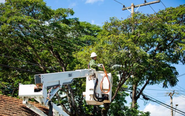 Endereços no Lago Norte terão o fornecimento de energia suspenso nesta segunda-feira (17)