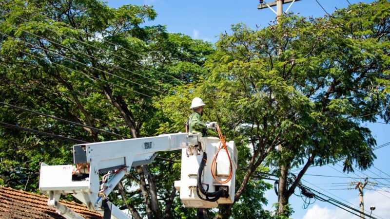 Endereços no Lago Norte terão o fornecimento de energia suspenso nesta segunda-feira (17)