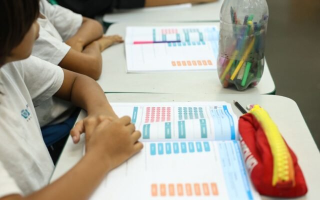 MEC lança diretrizes para ensino de arte na educação básica