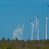 Projeto mapeia caminhos para economia verde no Nordeste