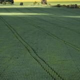 Senado aprova plano para fabricação de fertilizantes no Brasil