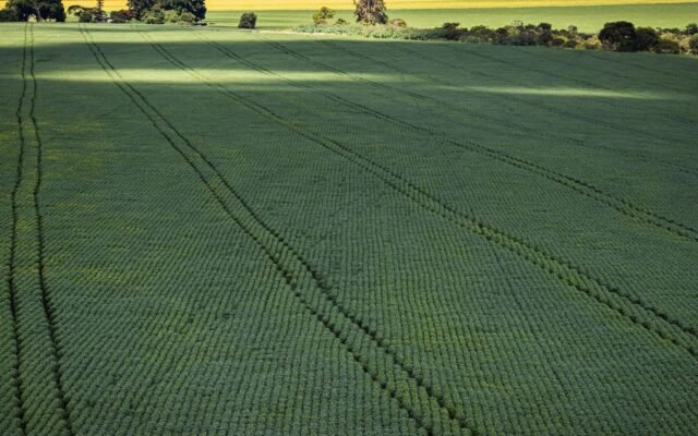 Senado aprova plano para fabricação de fertilizantes no Brasil