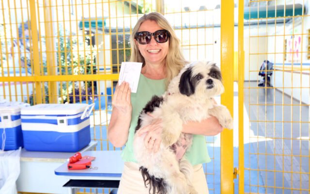 Vacinação de cães e gatos contra a raiva pode ser feita de segunda a sexta-feira