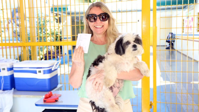 Vacinação de cães e gatos contra a raiva pode ser feita de segunda a sexta-feira