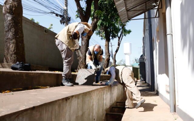 Agentes de saúde fazem atuação preventiva contra escorpiões