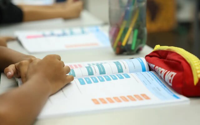 Censo Escolar 2026: dados da 1ª etapa podem ser conferidos até dia 11