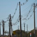 Em 5 anos, furto de fios de cobre no Rio deu prejuízo de R$ 69 milhões