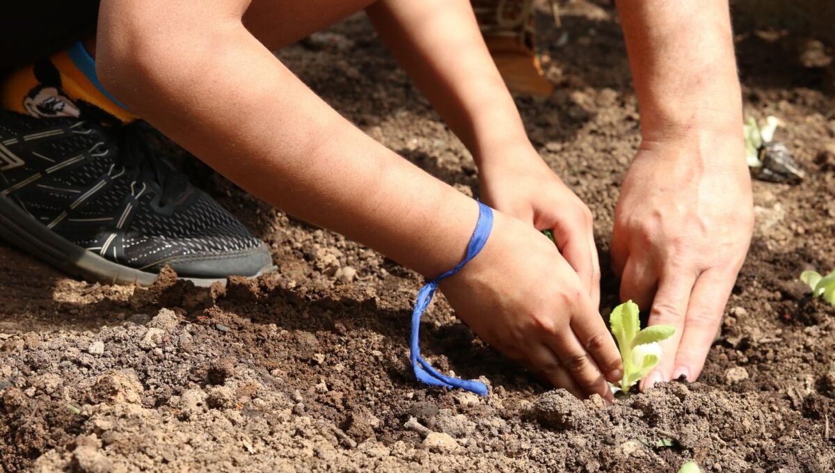 Entidades pedem apoio de candidatos em defesa da agroecologia