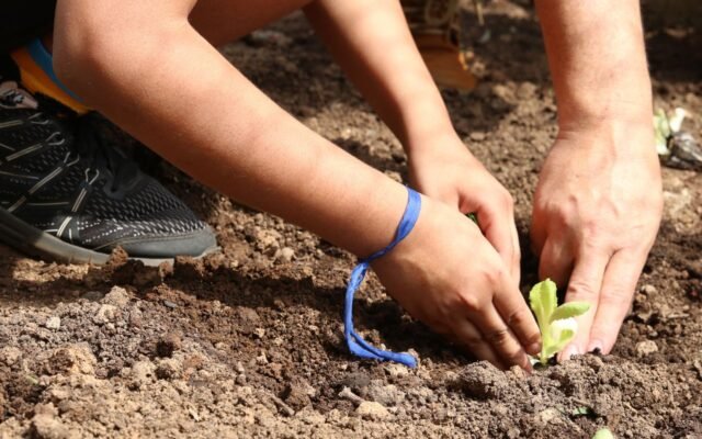 Entidades pedem apoio de candidatos em defesa da agroecologia