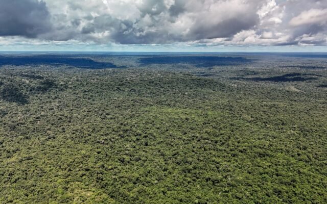Fazenda autoriza crédito de US$ 1 bilhão do BID para Eco Invest Brasil
