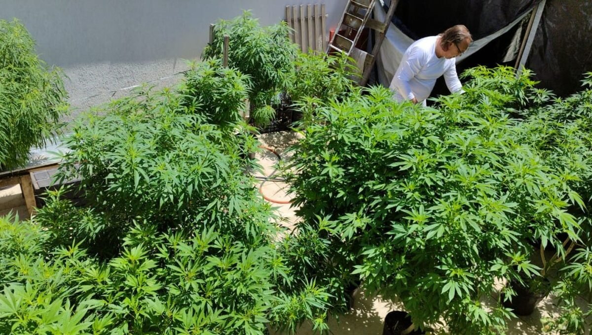 Feira em Fortaleza defende políticas sobre drogas com justiça social