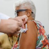 Festa do Morango tem vacinação neste sábado (5)