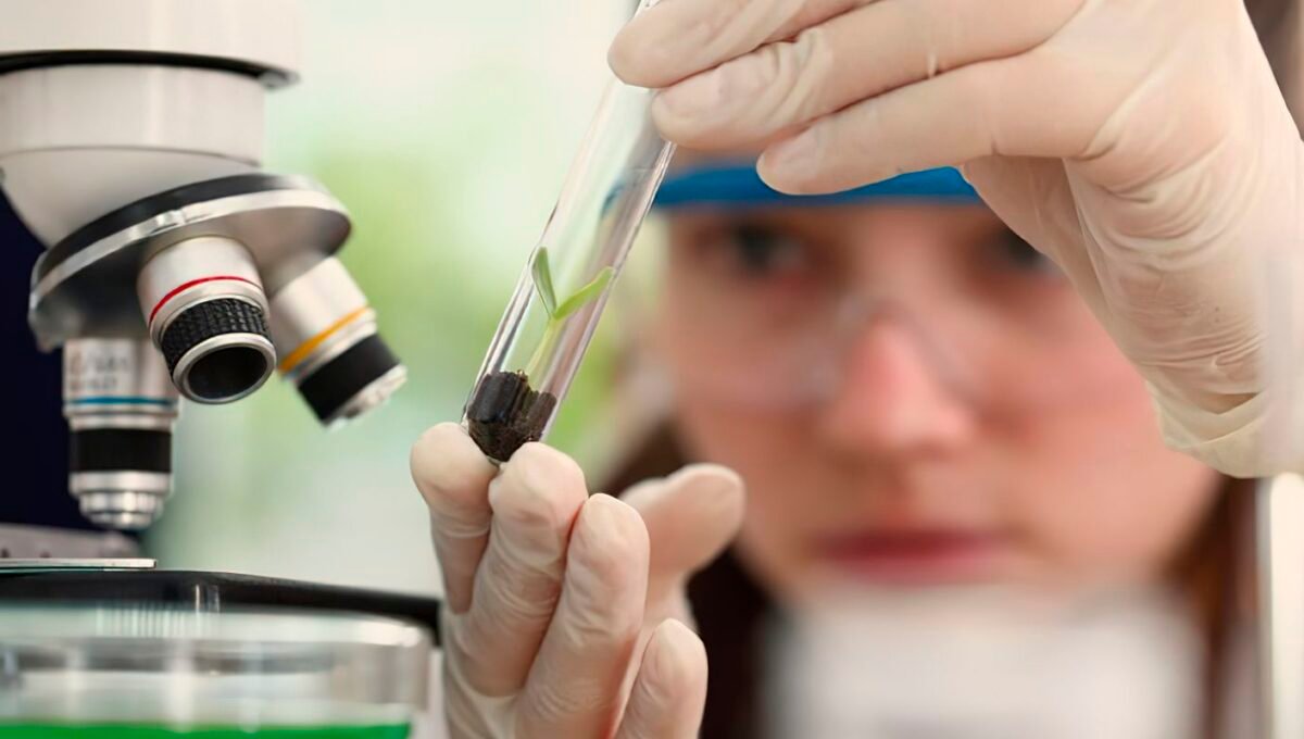 Imersão científica leva alunas e professoras a centros tecnológicos