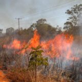 Saiba como agir caso um incêndio florestal se aproxime de residência
