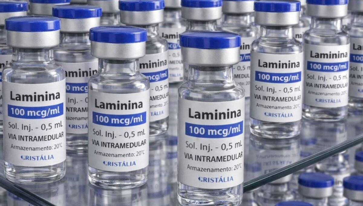 Testes clínicos fase 1 da polilaminina começam este mês