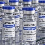 Testes clínicos fase 1 da polilaminina começam este mês