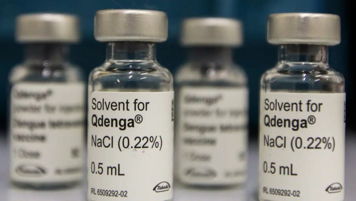 Dengue: 3 milhões de adolescentes estão com vacinação incompleta