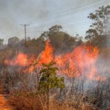 GDF proíbe uso de fogo em vegetação devido ao alto risco de incêndios florestais