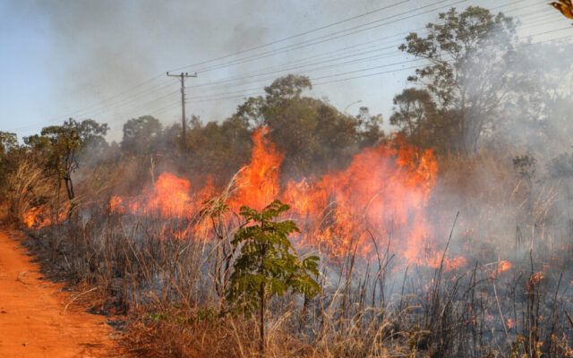 GDF proíbe uso de fogo em vegetação devido ao alto risco de incêndios florestais