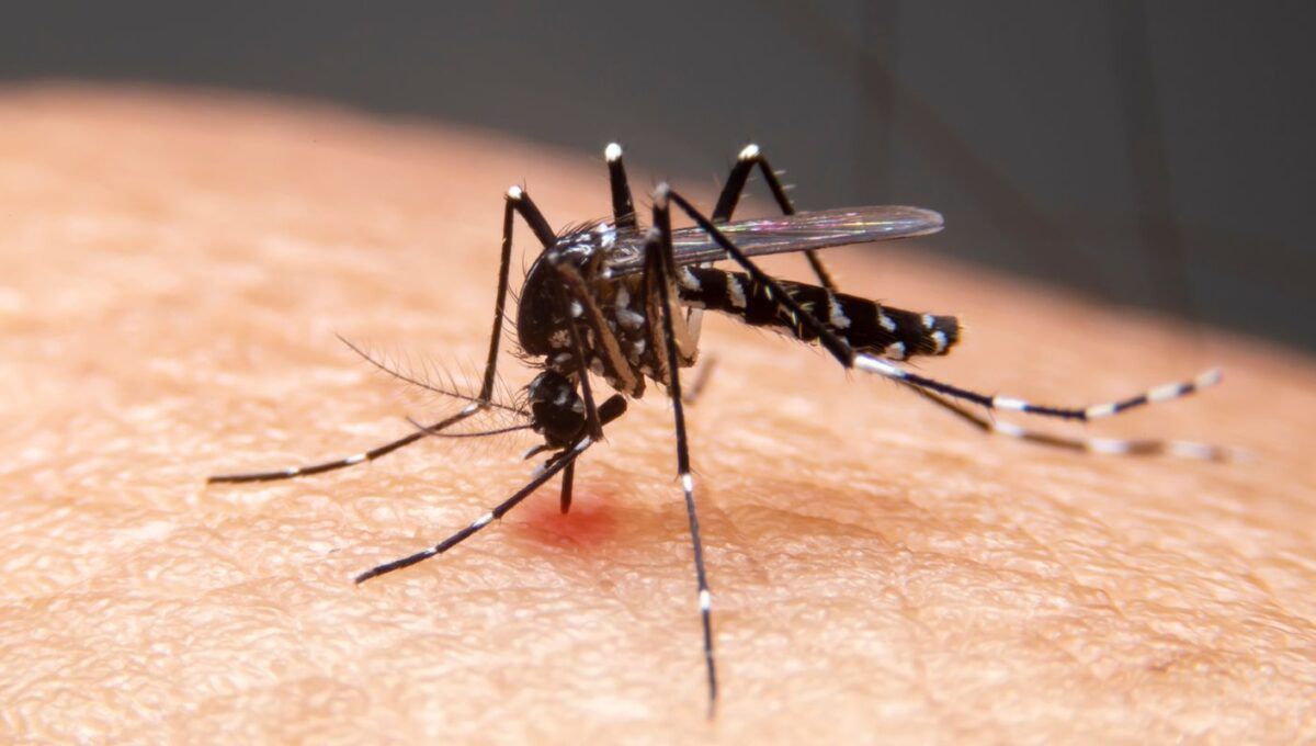 Mudanças climáticas já causam aumento de doenças infecciosas no país