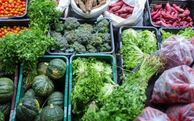 Segurança alimentar exige esforço coletivo e articulação