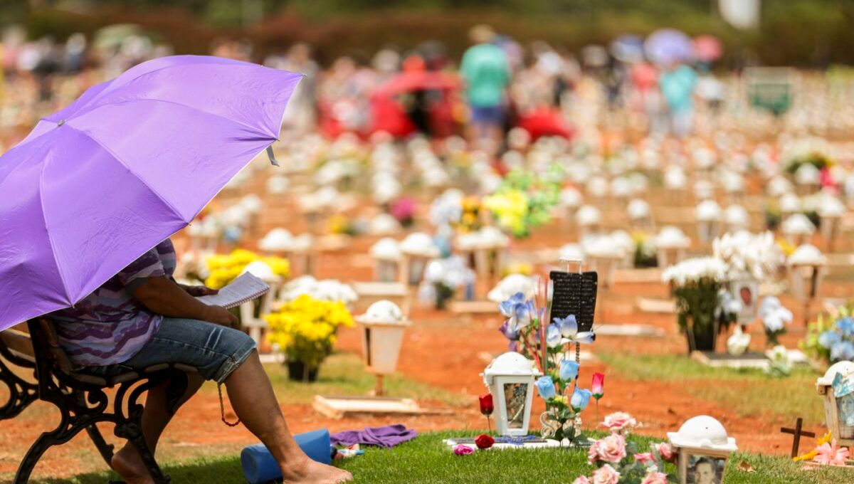Zumbi, Finados e Proclamação: confira feriados nacionais de novembro